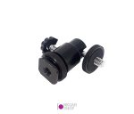 بال-هد-کفشک-دار