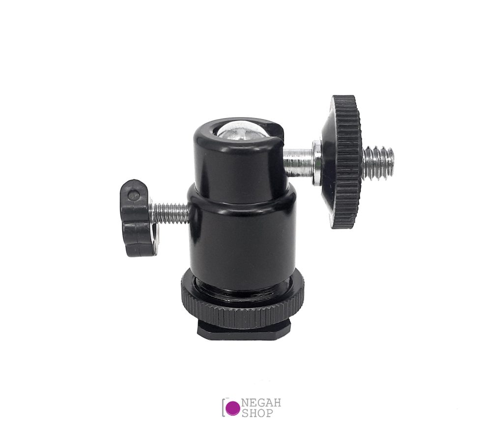 بال-هد-کفشک-دار