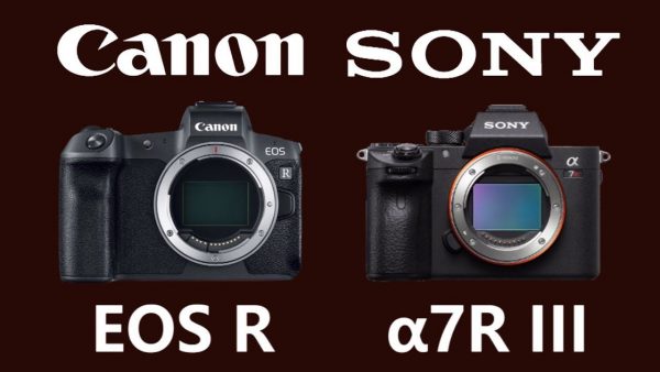 مقایسه-دوربین‌های-sony-alpha-a7R-lll-و-Canon-EOS-R|-باتری