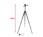 سه-پایه-دوربین-عکاسی-مونوپاد-دار-Beike-Q720H-با-قابلیت-T-شو-(12)