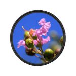 فیلتر-لنز-دیفیوزر-Zomei-Soft-Filter