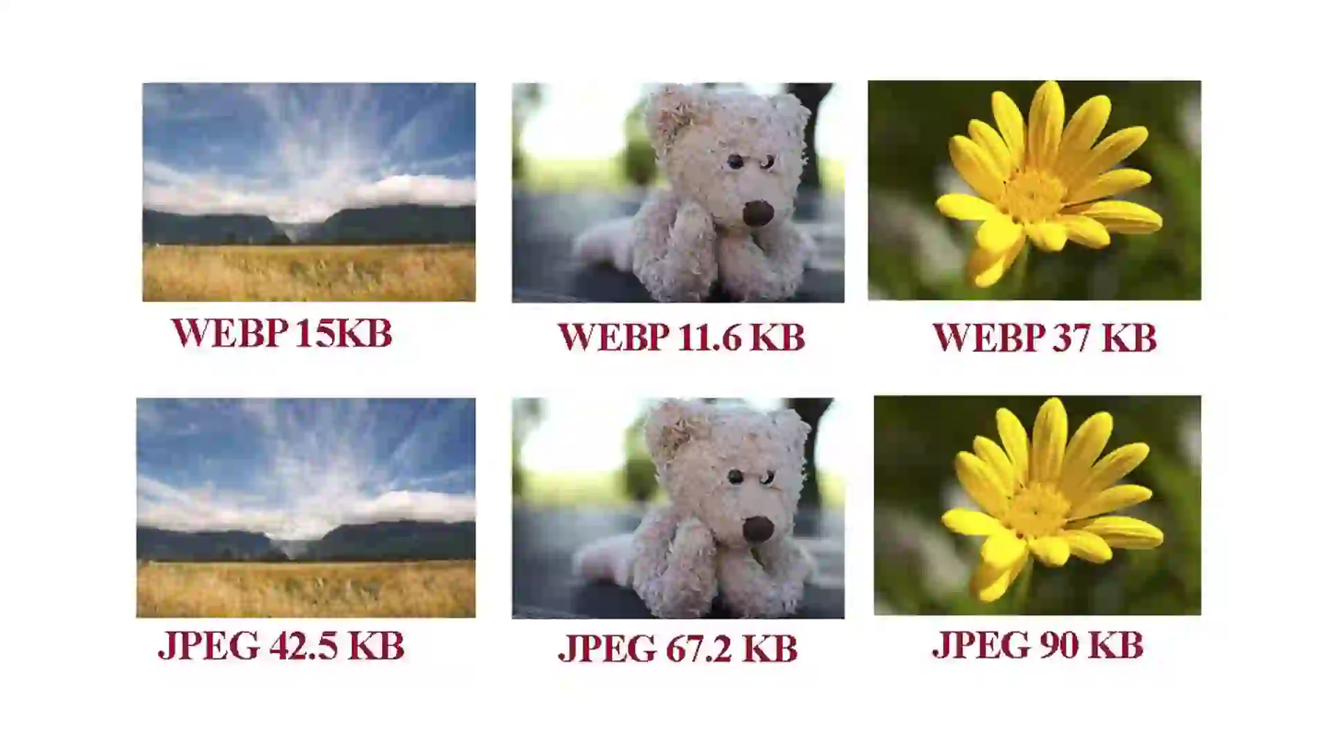 کیفیت تصاویر WebP