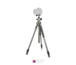 سه پایه دوربین عکاسی ونگارد مدل Vanguard Alta Pro 2+ 263AB100 - نگاه شاپ
