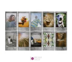 فیلم دوربین Instax Mini مدل Stone Gray - نگاه شاپ