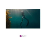 دوربین ورزشی گوپرو Gopro Hero 11 Black - تصویر 16