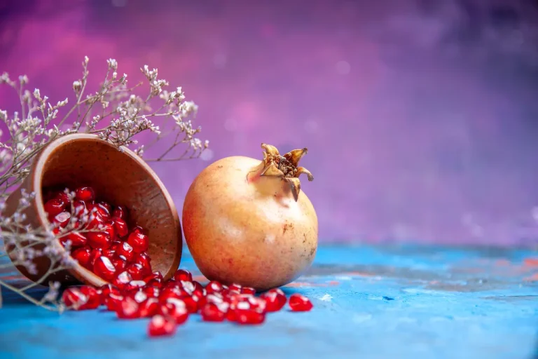 عکاسی شب یلدا