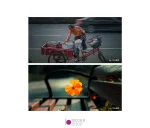 لنز دوربین 7Artisans 35mm F/1.2 MK II For Nikon Z - تصویر 11