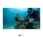 GOPRO 13