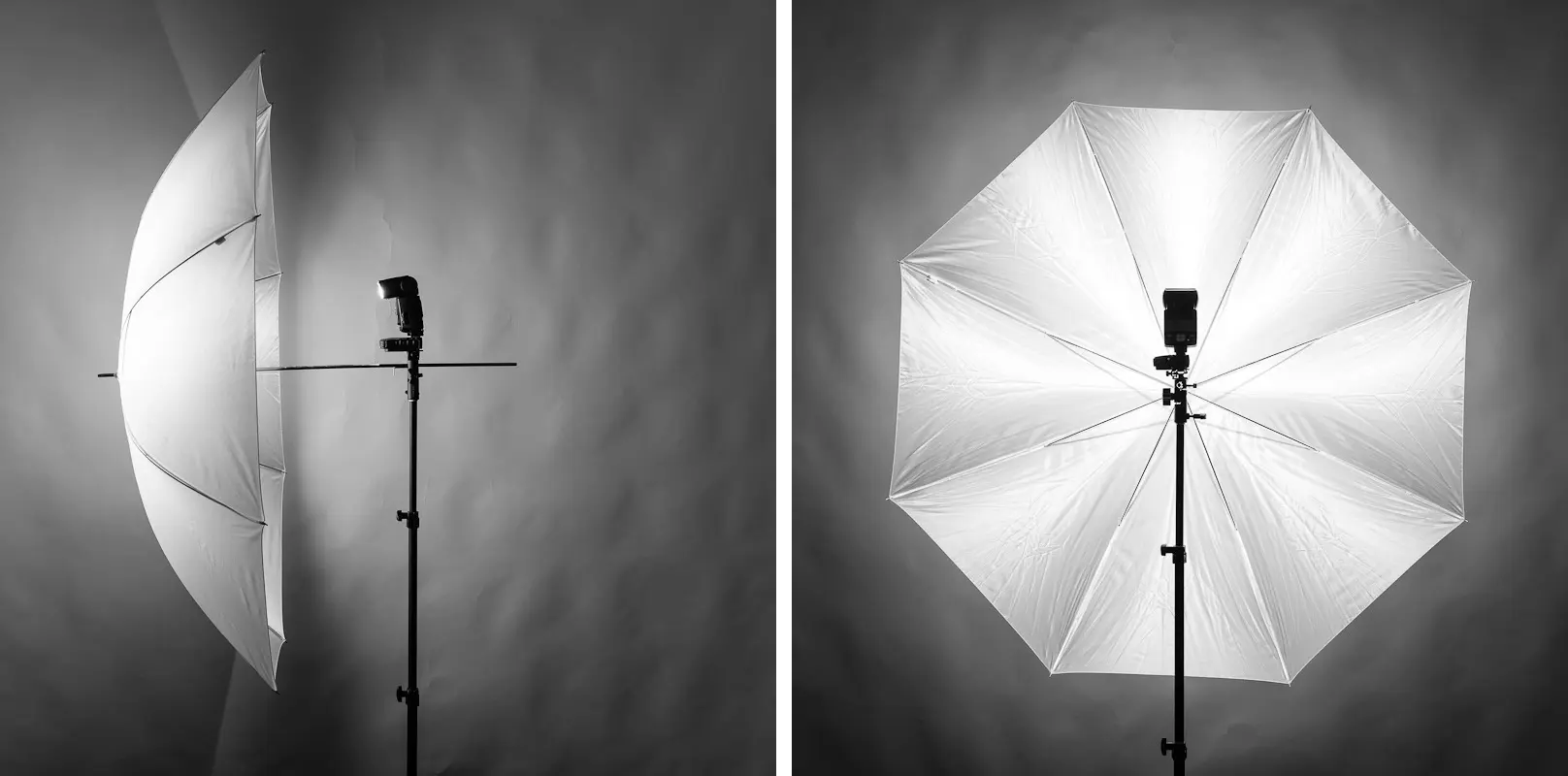 umbrella photography