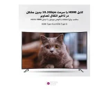 کابل فنری 50 سانتی متری HDMI Type-A to HDMI Type-D
