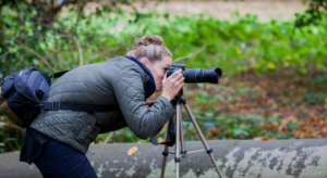 انواع گرایش های عکاسی