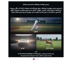 گیمبال دوربین دی جی آی DJI RS5 Gimbal Stabilizer - تصویر 2